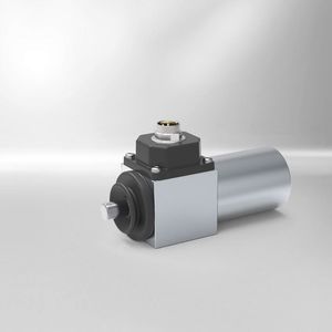 elettromagnete di blocco 1