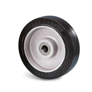 ruota con fascia