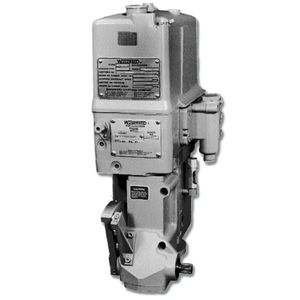 regolatore di velocità idraulico per motore diesel