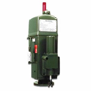 regolatore di velocità per motore diesel
