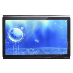 monitor LCD 1