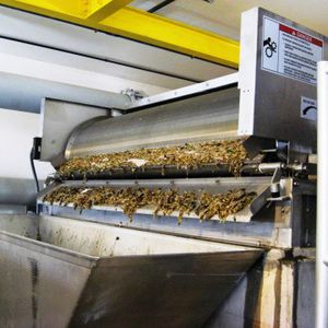 sgrigliatore a tamburo