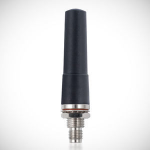 antenna IP