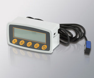 monitor LCD 1