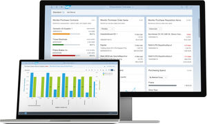 software di ERP