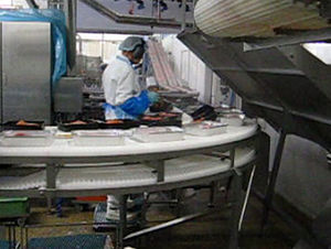 trasportatore modulare / per l'industria agroalimentare / per carne / per frutta