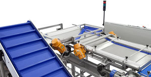 linea di produzione di pane automatica
