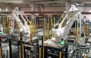 Linea di pallettizzazione e imballaggio 1