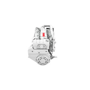 motore diesel 1