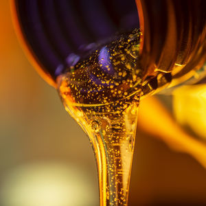 olio di lubrificazione
