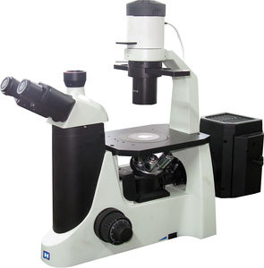 microscopio digitale
