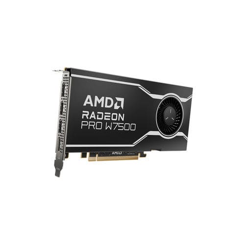Scheda grafica PCIe - Radeon™ PRO W7500 - AMD - AMD Radeon / GDDR6 / Linux