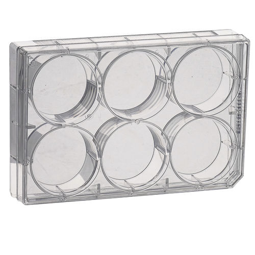 Micropiastra per coltura cellulare - CCPP series - LABBOX LABWARE S.L. - con 96 pozzetti / con 24 pozzetti / con 12 pozzetti