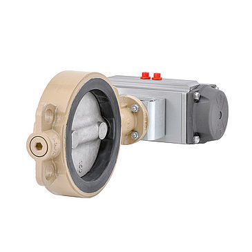 IQS ProLine Valvola Di Ritegno Pneumatica 8 Mm Per Aria - Foto 8