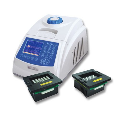 Termociclatore - GENE Q-24 - FALC Instruments S.r.l.