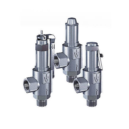 Valvola di sicurezza per vapore - 461 series - Goetze KG - per gas / per aria compressa / filettata