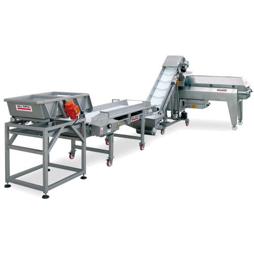 Smistatore per l'industria vinicola - DELLA TOFFOLA GROUP - automatico / per uva / di processo