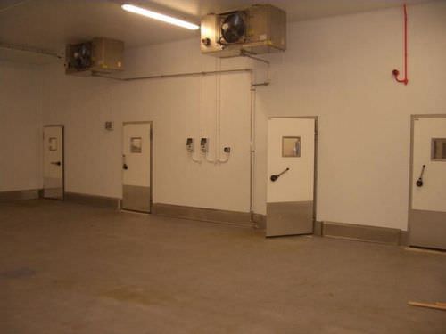 Porta battente - DT 250 - Dortek Ltd. - per cella frigorifera / industriale / per congelatore