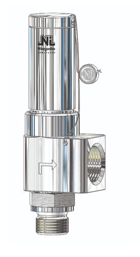 Valvola di sicurezza a gas - Type 50 - Niezgodka GmbH - per vapore / olio / compatta