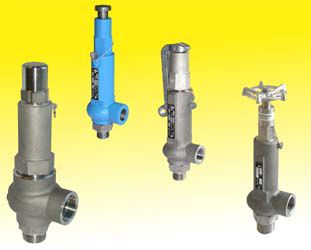 Valvola Di Non Ritorno A Battente Atlantic Valves 3/4" NPT Acciaio Inox 200 PSI