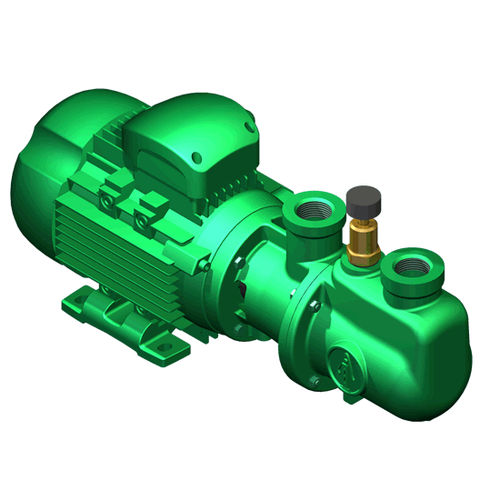 Pompa a vite eccentrica - R series - NOVA ROTORS s.r.l. - per acque reflue / per prodotti chimici / elettrica