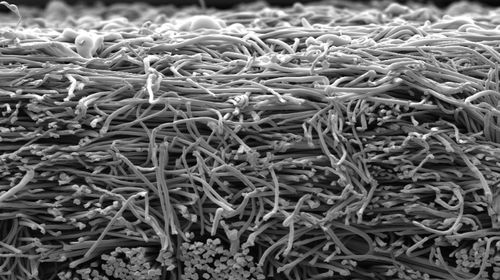 Materiale filtrante in microfibra - MPS® - BWF Envirotec - di polvere