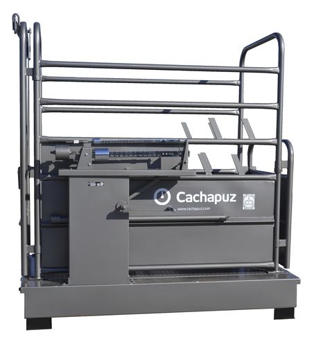 Bilancia a piattaforma - R10 - Cachapuz Bilanciai Group - meccanica / kg / con monitor separato