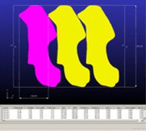 Software di nesting - BLANKNEST - FTI Forming Technologies Incorporated - di processo