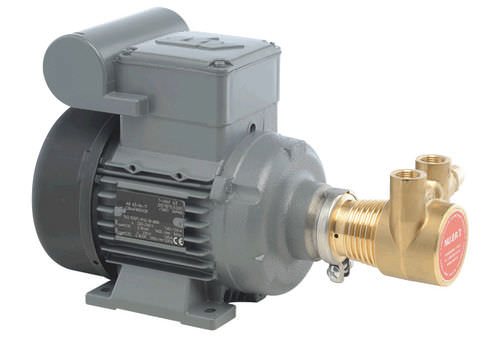 Motore AC - Nuert - 48 V / per pompa