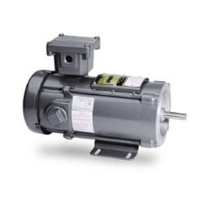 Motore antideflagrante - PMseries - Baldor Electric Company - DC / sincrono / a magneti permanenti