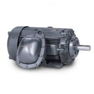 Motore per area pericolosa - Baldor Electric Company - AC / ad induzione / 460 V