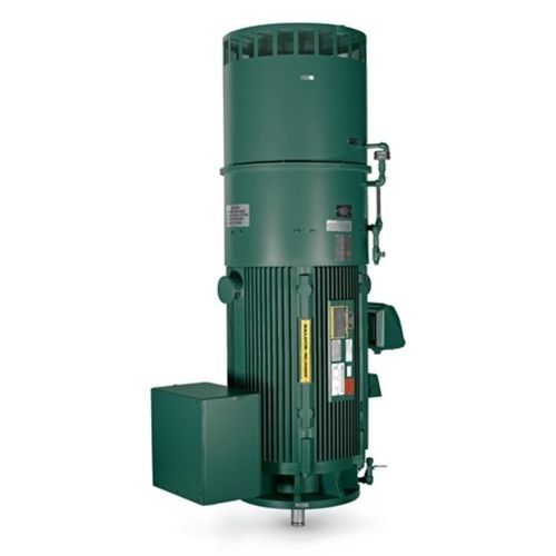 Motore verticale - G-Series - Baldor Electric Company - AC / ad induzione / 460 V