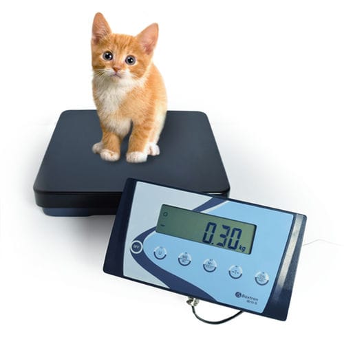 Bilancia a piattaforma - APS - GIROPES - con display LCD / con monitor separato / IP54
