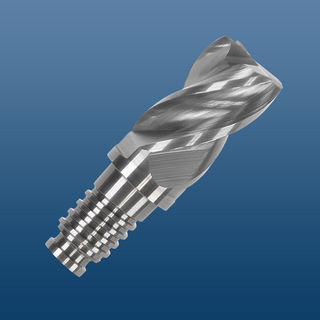 Fresa a raggio - DL series - HAIMER GmbH - carburo solido / per acciaio / da avvitare