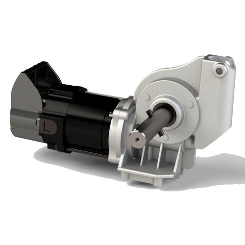 Motoriduttore su misura - AMT Schmid GmbH & Co. KG - DC / ad assi paralleli / 24 V