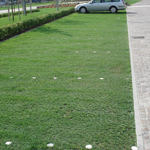 Griglia per erba - PRATOPRATICO® - Daliform Group