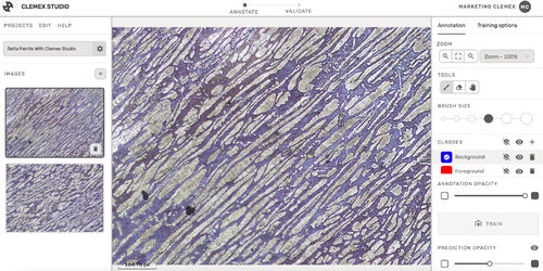 Software di analisi delle immagini - Clemex Technologies inc. - di creazione / per microscopia / con analisi di immagini con AI