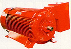 Motore di media tensione - EMG-EMCO - asincrono / AC
