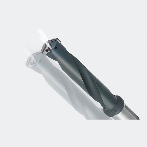Punta a inserti multitaglienti -  Spatenbohrer - Karnasch Professional Tools GmbH - multiuso / in carburo / rivestita