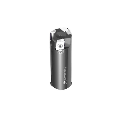Fresa a inserti multitaglienti - FMP025CS25-BE12-03 - Beijing Worldia Diamond Tools Co., Ltd - a spianare / per spallamento / PCD