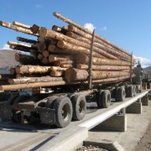 Pesa a ponte per camion - 7563 - METTLER TOLEDO - per veicolo / in acciaio / robusta