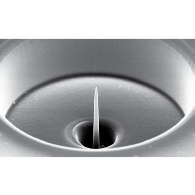 Software di automatizzazione - AutoScript 4  - THERMO FISHER SCIENTIFIC - MATERIALS SCIENCE - di immagine / per strumento / SEM