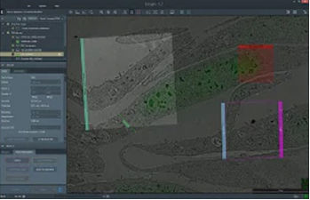 Software di automatizzazione - Maps 3  - THERMO FISHER SCIENTIFIC - MATERIALS SCIENCE - di acquisizione dati / di raccolta dati / di analisi