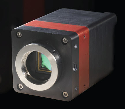 Telecamera di monitoraggio - 320 x 256 pix | OWL 1.7-CL-320 - Raptor Photonics - per visione notturna / a infrarossi / ad alta sensibilità