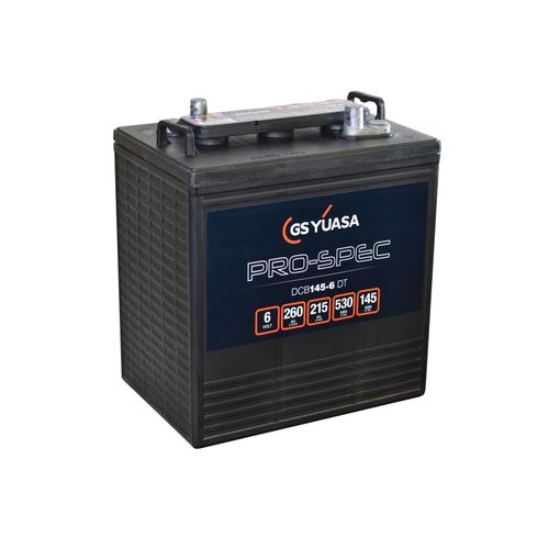 Batteria AGM - DCB145-6(DT) - GS Yuasa - a blocco / 6 V / per veicolo elettrico