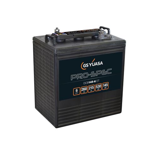 Batteria AGM - DCB145-6(ET) - GS Yuasa - a blocco / 6 V