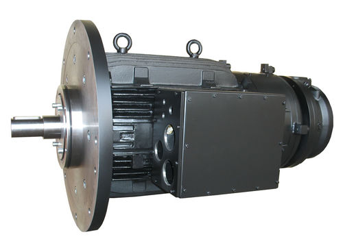 Motore sincrono - Winkelmann Elektromotoren GmbH & Co. KG - a corrente continua / a bassa tensione
