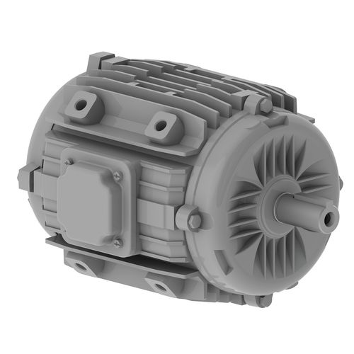 Motore asincrono - W22 series - WEG - AC / 380 V / 220 V