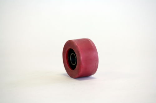 Rulli per cuscinetti - 0.5842Red - CGR Roulements - in poliammide / per mattatoi / con cuscinetto a sfere