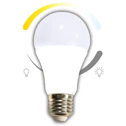 Lampadina a lampade - YMOCA-BULB-E27 - RP-Technik - RPower Batteries - E27 / bianco caldo / 240 V AC